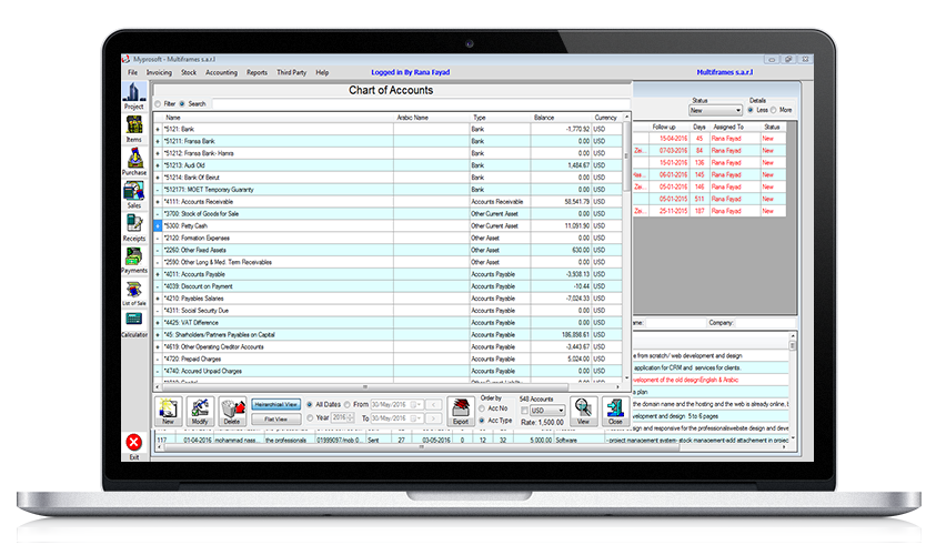 Accounting Software, Multiframes project
